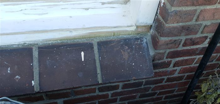 Houtrot reparatie Delft: houtrot in Delft, foto 2