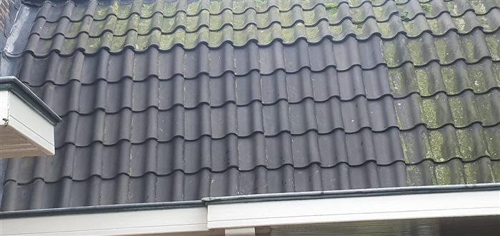 Project Agnetapark: verbouw en renovatie, foto 23
