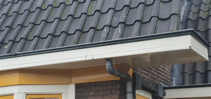 Project Agnetapark: verbouw en renovatie, foto 25