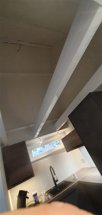 Project Agnetapark: verbouw en renovatie, foto 8